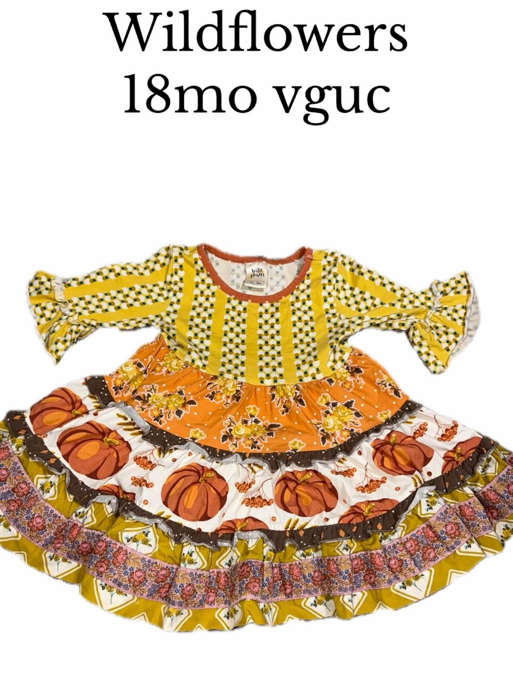 Wildflowers Pocket full of wonder fall twirl dress